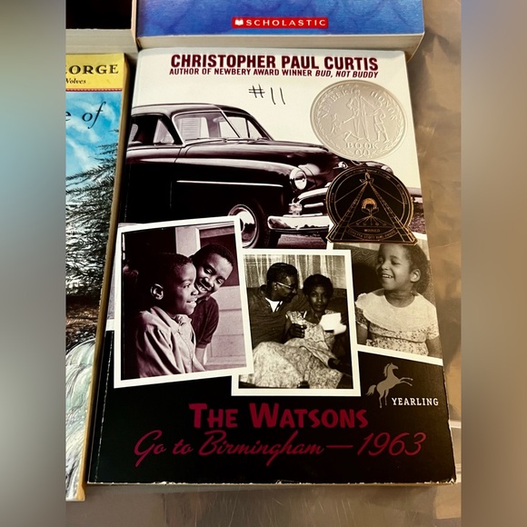 Fiction Book Lot of 6 Ice Fire Fire Star Chapter Like New Juvenile School - Picture 9 of 9